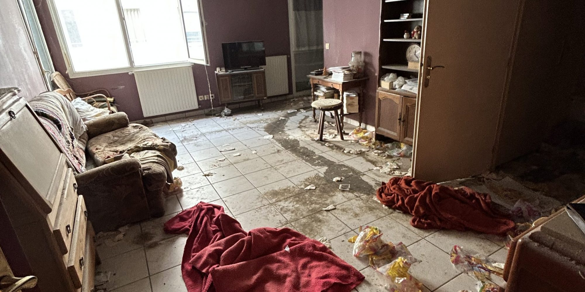 APPART INSALUBRE AVANT NETTOYAGE